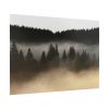 92409-754.jpg Trees and Forest in the Fog Poster