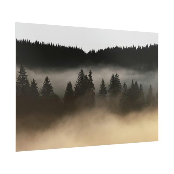 92409-754.jpg Trees and Forest in the Fog Poster
