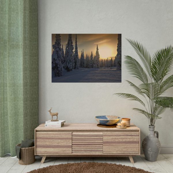 92409-765.jpg Dawn and Winter in the Forest Poster