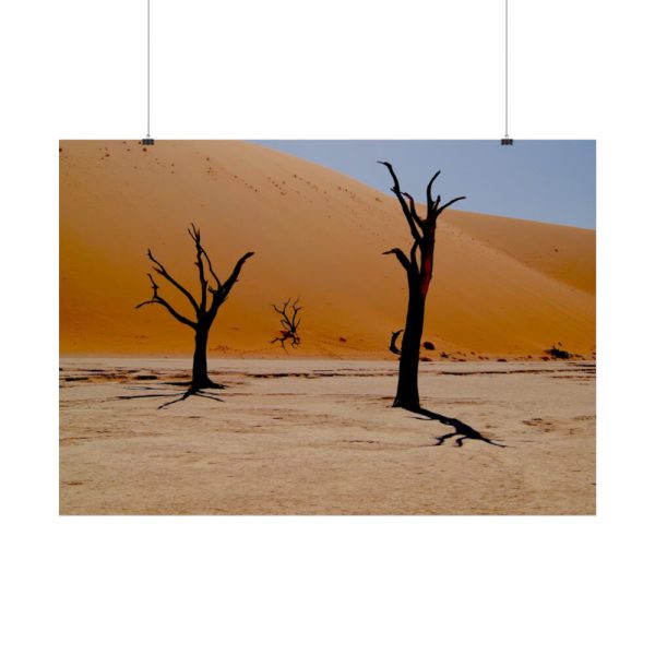 92409-778.jpg Desolate Trees in the Sandy Desert of Deadvlei Hiking Trail Poster