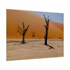 92409-779.jpg Desolate Trees in the Sandy Desert of Deadvlei Hiking Trail Poster
