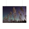 Lapland Finland Poster