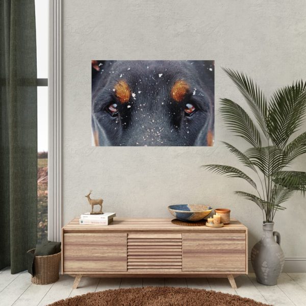 92409-79.jpg Eyes and Snowflakes Poster