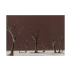 92409-792.jpg Deadvlei Sunrise Poster
