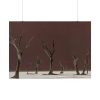 92409-793.jpg Deadvlei Sunrise Poster