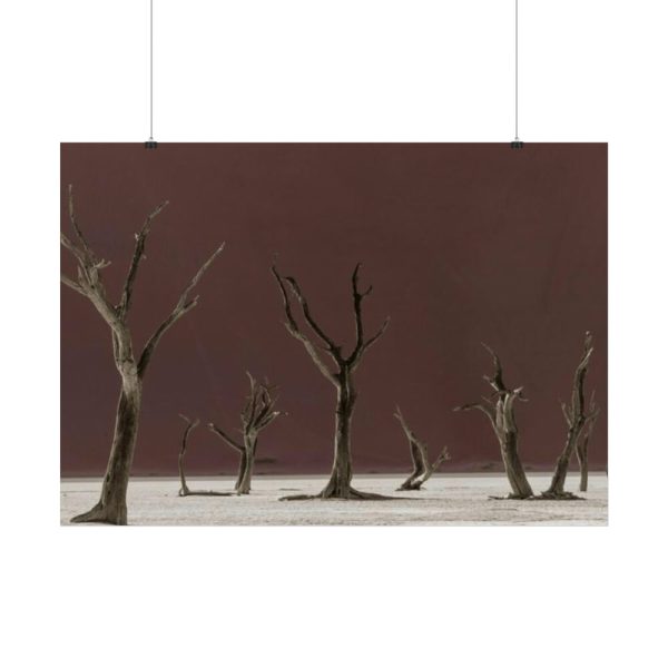 92409-793.jpg Deadvlei Sunrise Poster