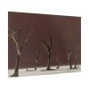 92409-794.jpg Deadvlei Sunrise Poster