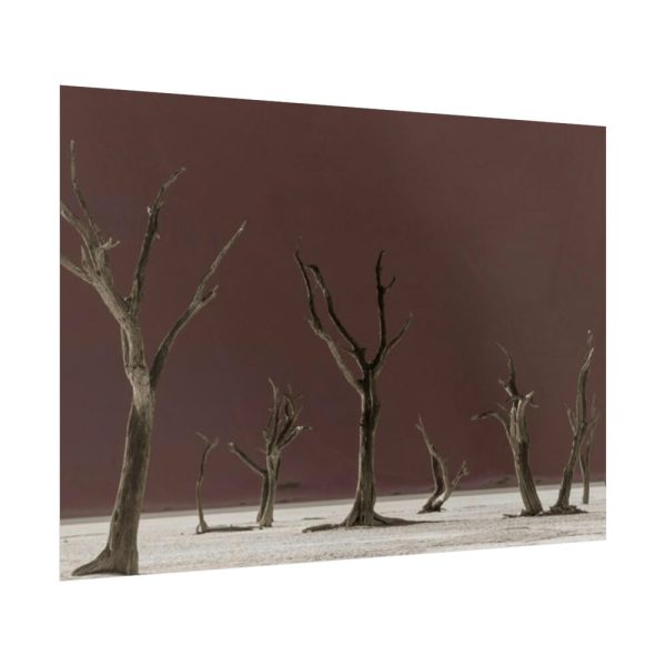 92409-794.jpg Deadvlei Sunrise Poster