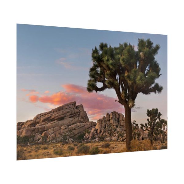 92409-799.jpg Sunset near Turtle Rock Poster