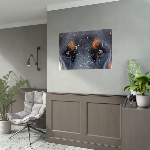 92409-80.jpg Eyes and Snowflakes Poster