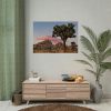 92409-800.jpg Sunset near Turtle Rock Poster