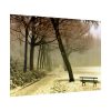 92409-814.jpg Cold Frost Season in Nature Poster