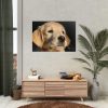 92409-82.jpg Little Golden Retriever Poster