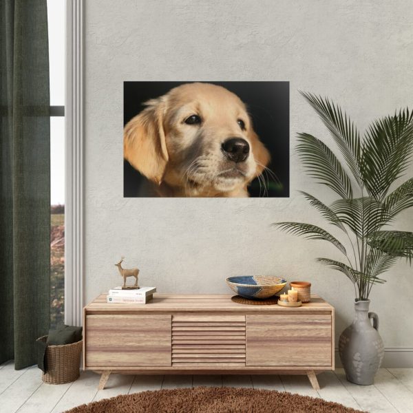 92409-82.jpg Little Golden Retriever Poster