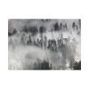 92409-822.jpg Trees in Lamar Valley Poster