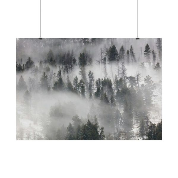 92409-823.jpg Trees in Lamar Valley Poster