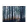 92409-827.jpg Into the Woods Poster