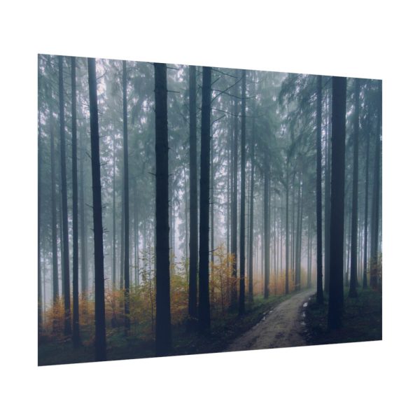92409-829.jpg Into the Woods Poster