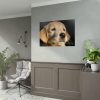 92409-83.jpg Little Golden Retriever Poster