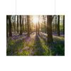 92409-833.jpg Spring day Poster