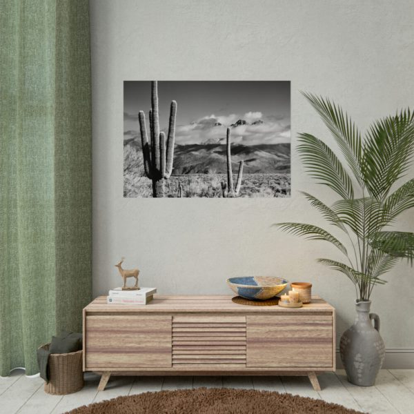 92409-850.jpg Black and White Cactus in Desert Poster