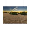 92409-853.jpg Drought Dehydrated Clay Floor Earth Cracked Poster
