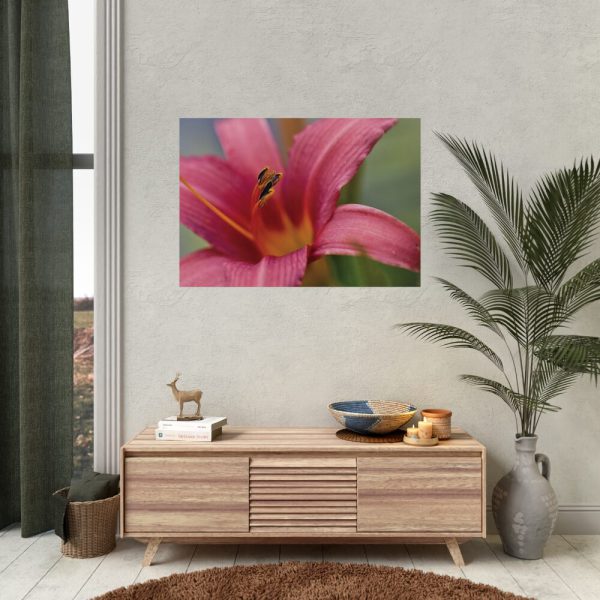 Blooming Flower Pink Poster