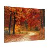 Red Season in the Woods Poster