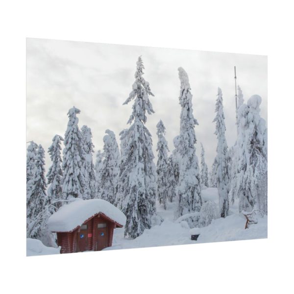 Snowfall on Trees Poster
