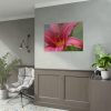 Blooming Flower Pink Poster