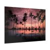 92409-899.jpg Water Palm in the Resort Poster