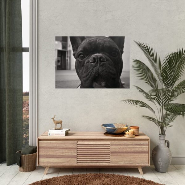 92409-94.jpg French Bulldog Poster