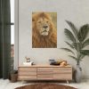 92410-1.jpg Lion Closeup Africa Poster