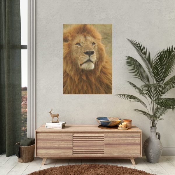 92410-1.jpg Lion Closeup Africa Poster
