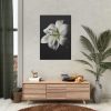 White Lily Poster