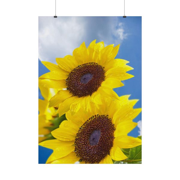 Sunflower Flower Air Clouds Poster