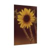 92410-153.jpg The Sunflower is Blooming Poster