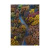 92410-166.jpg Forest in Autumn Colors Poster