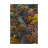 92410-167.jpg Forest in Autumn Colors Poster