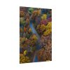 92410-168.jpg Forest in Autumn Colors Poster