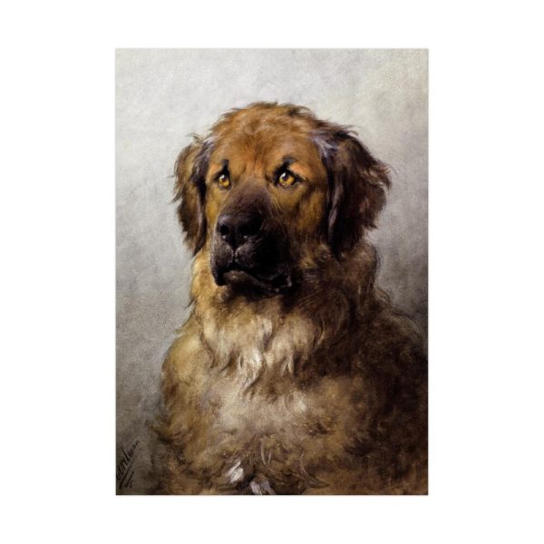 92410-3.jpg Head of a Leonberger by Otto Eerelman Poster