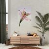 Pink Lily  Poster