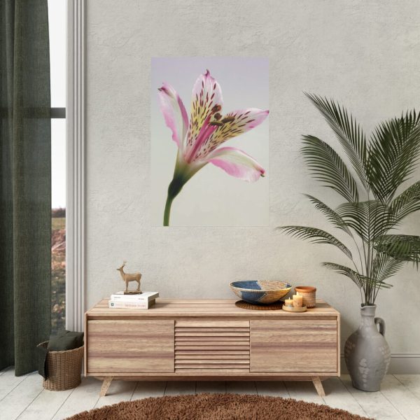 Pink Lily  Poster
