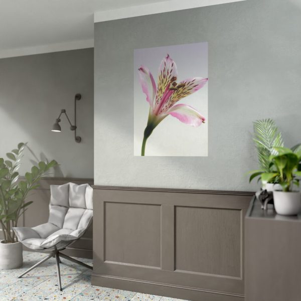 Pink Lily  Poster