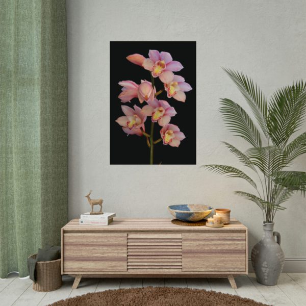 Pink Boat Orchid Poster