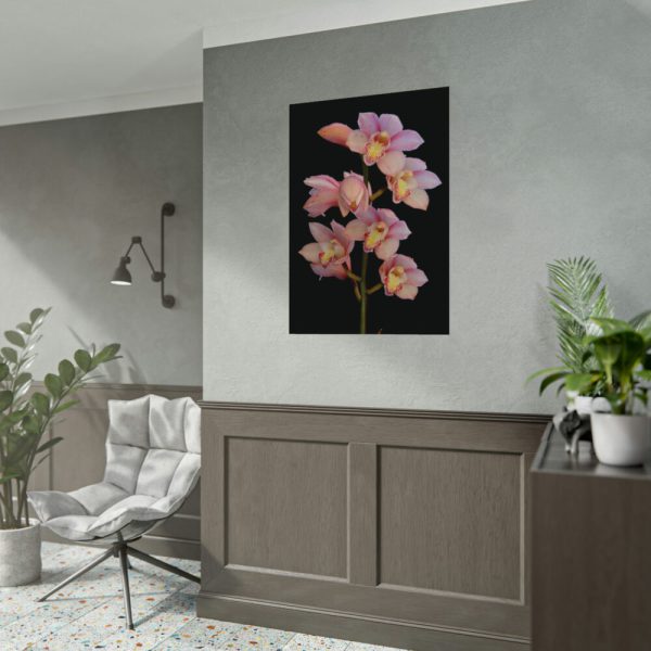 Pink Boat Orchid Poster