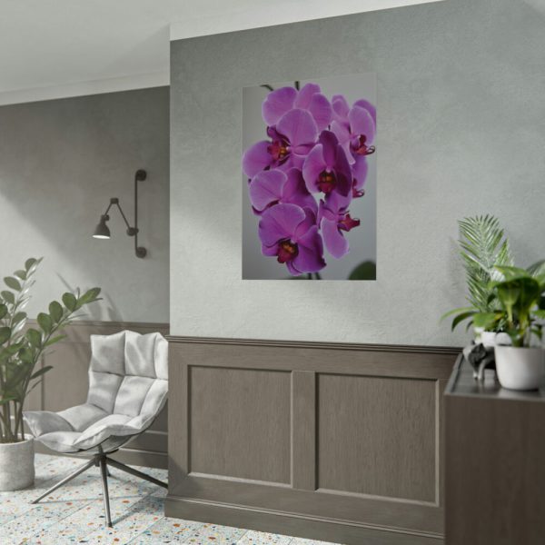 Exotic Orchid   Poster