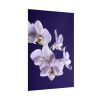 Blue Orchid  Poster