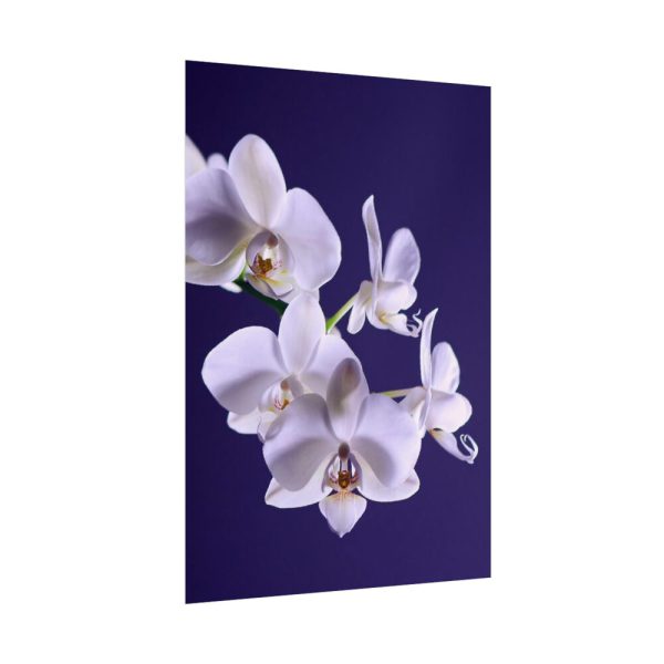 Blue Orchid  Poster