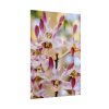 92410-53.jpg Boat Orchid Poster